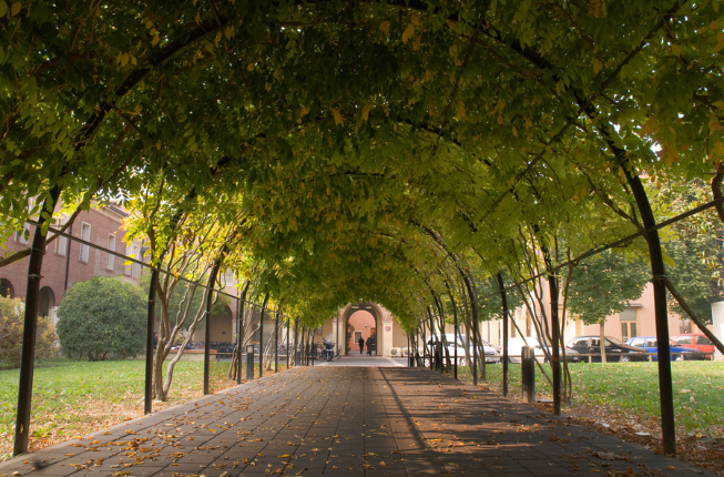 Collegamento a International Workshop Skew 2026