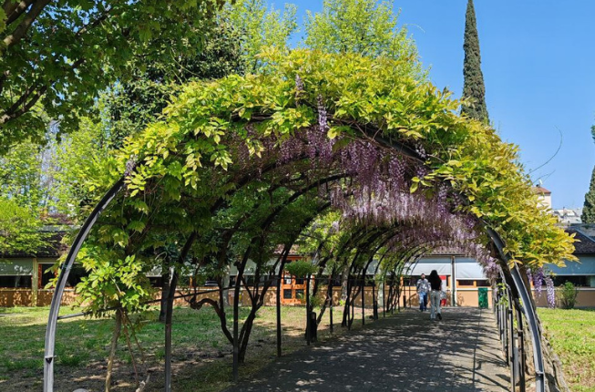 Collegamento a Vacanze Pasquali